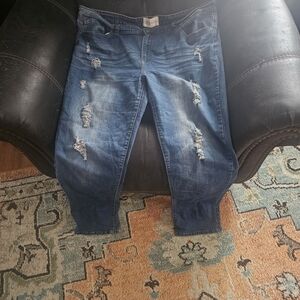 Distressed Blue Jeans for Women